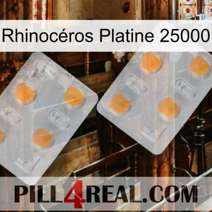 Rhinocéros Platine 25000 25